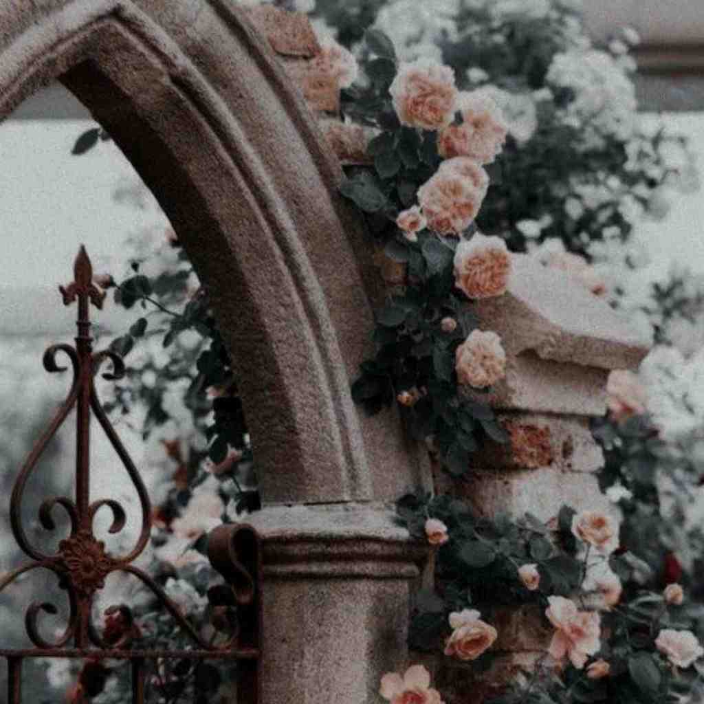  کافه رو بی تو نمیخوایم یه لحظه