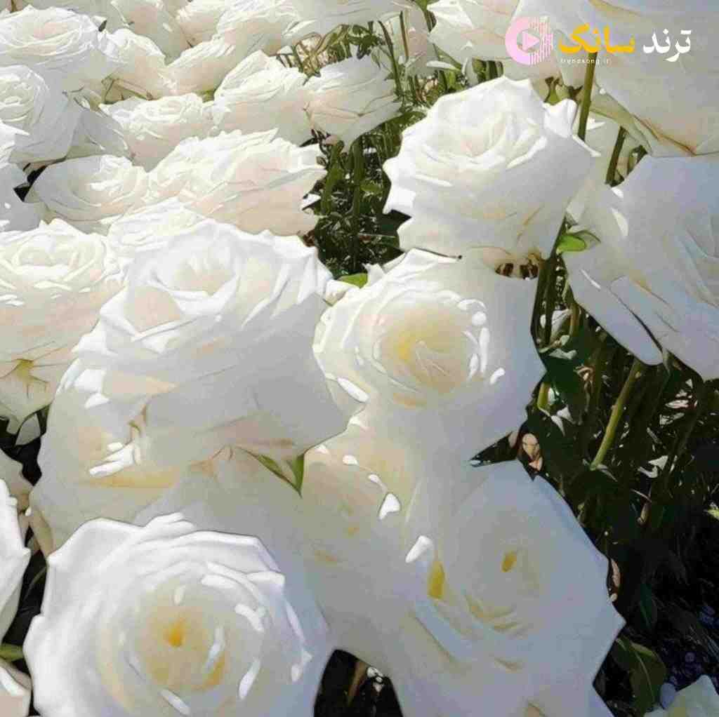  لب کارون چه گل بارون میشه وقتی که میشینن