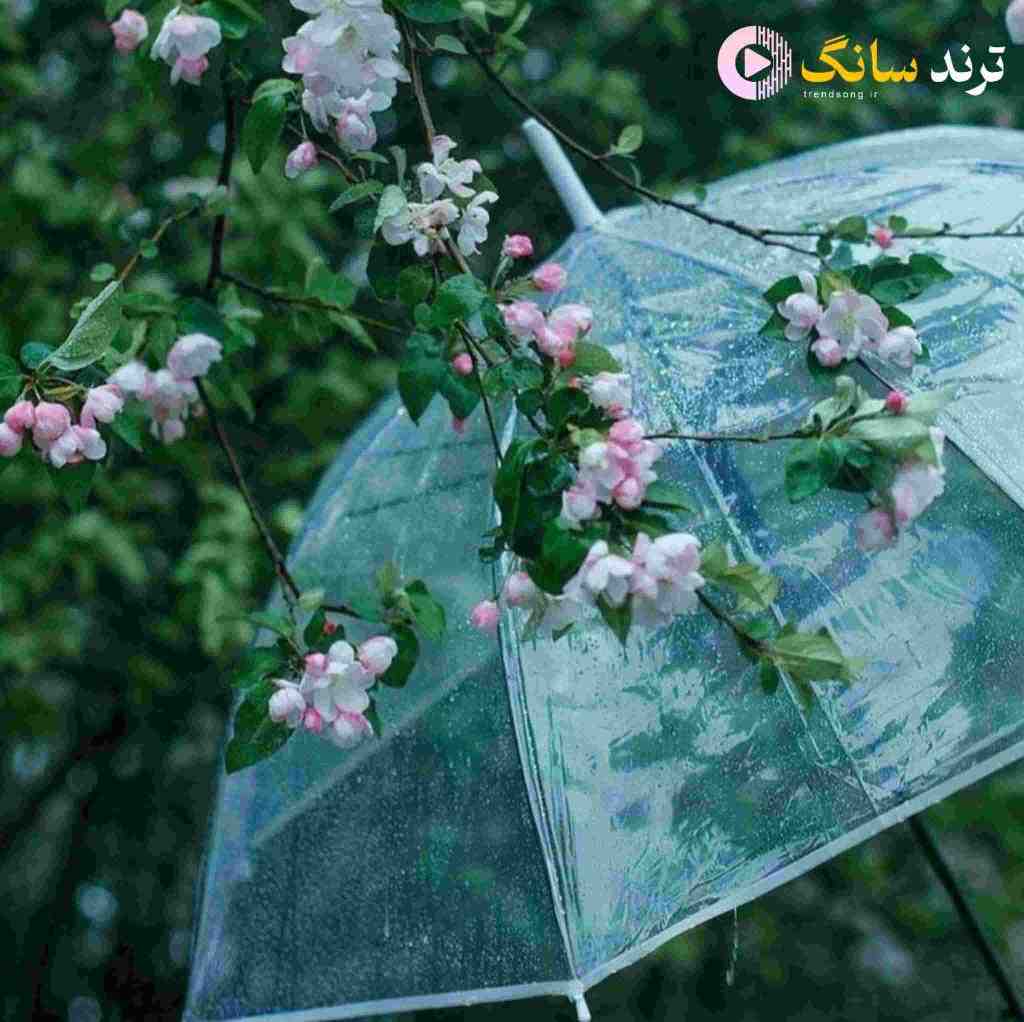  ضربان قلب من تند میزنه میخواد آروم بزنه نه دیگه