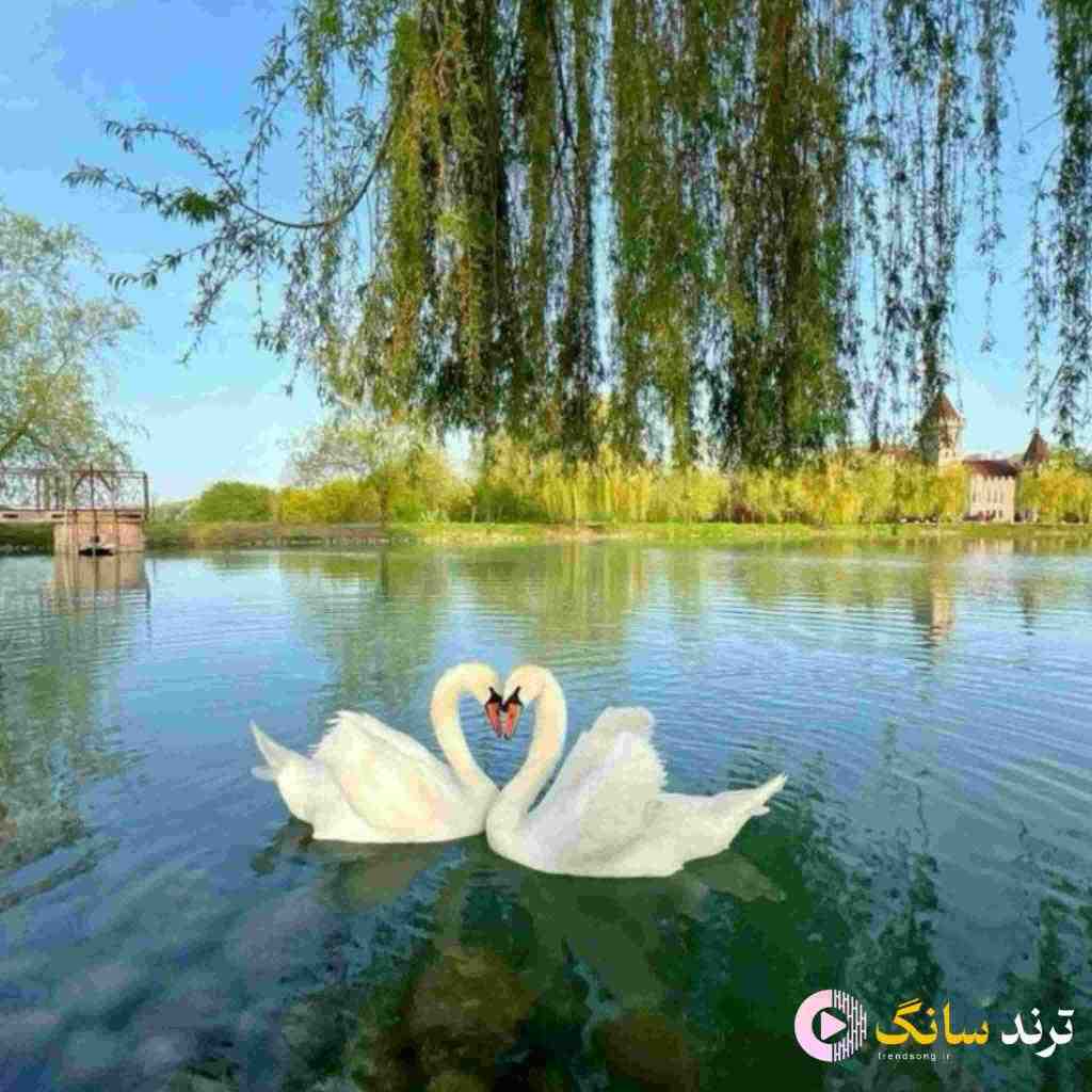  شاید بودی کنارم یه روز می‌دیدم که دوست ندارم – هوش مصنوعی