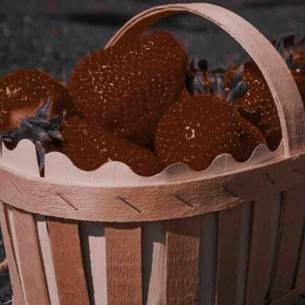  موهامو میخوای چه کنی بی حیا پسر