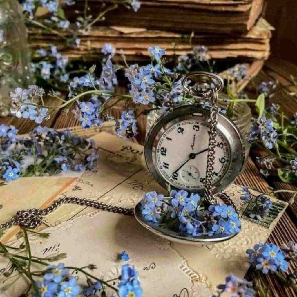  موهاتو به من بنما تا بشم راضی