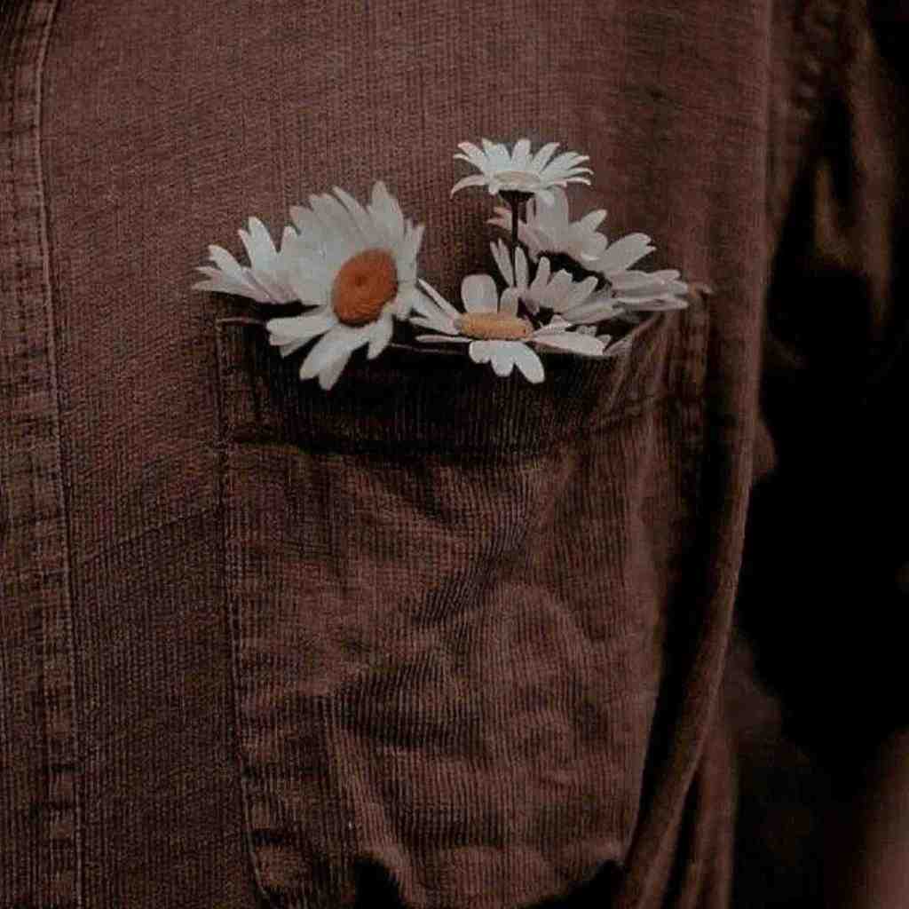  از آسمون داره میاد یه دسته حوری همشون کاکل پسر