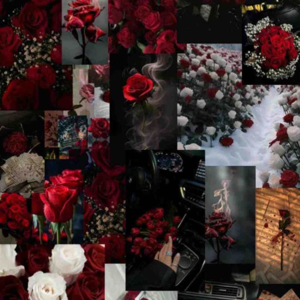  یه نخ بده همه چی عوض شده چون پاییز شده
