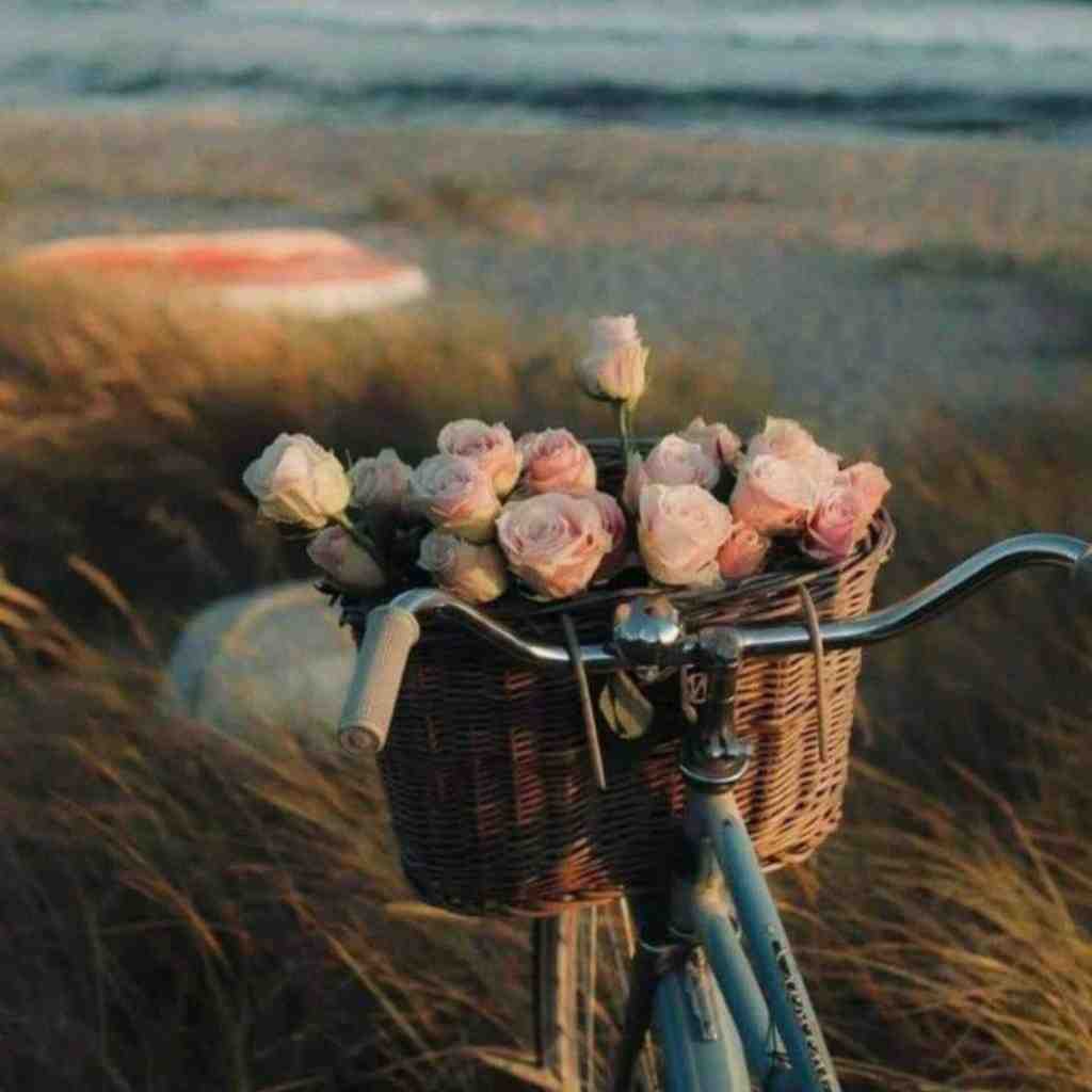 اخه یارم رنگ موهاش مشکیه کلاغی بود