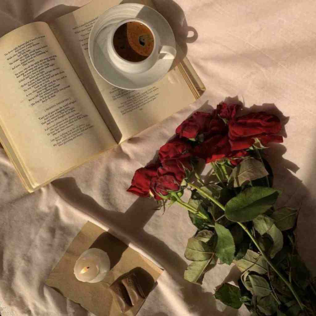  الان الان الان همه میپیچیم ویلا همه فک زدن