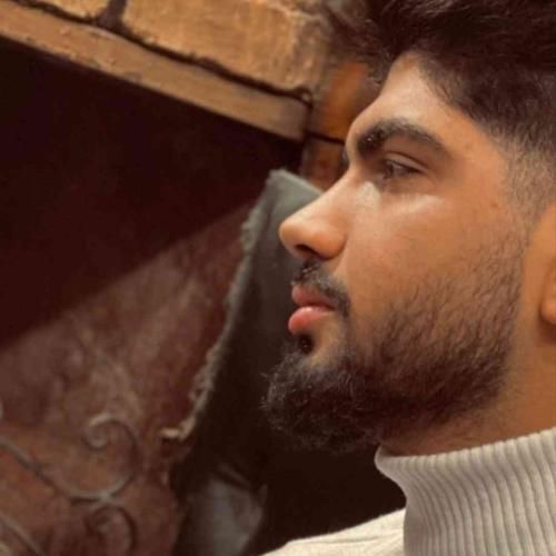 دانلود آهنگ امیر فضلی به نام بانو جان