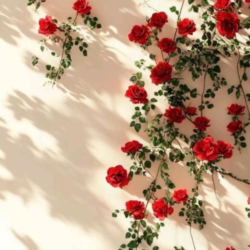 دانلود آهنگ جدید دیگه فهمیدم من دارم وجودشو نه پول بابام بود