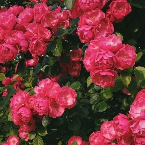دانلود آهنگ جدید منم و یه قطار و یه بلیط تنهایی تو سرزمین غم