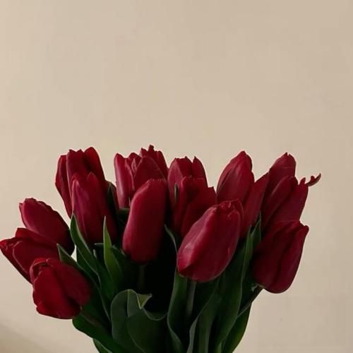 دانلود آهنگ جدید مثل جزیره وسط دریا هیشکی نمیدونه که من چقدر تنهام