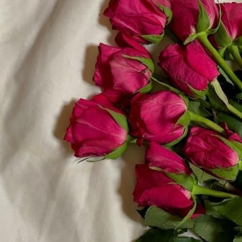 دانلود آهنگ جدید نجنگ با من که میکنم جنگ برات