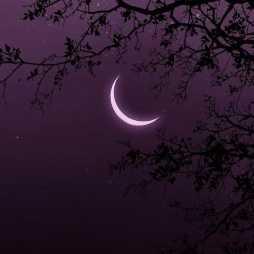 دانلود آهنگ جدید حالا فهمیدی صدشونم بزارن نمیشن هیچکدومشون صفر منم