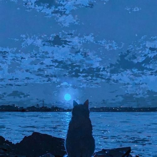 دانلود آهنگ جدید روی موندنت ندید بستم شدی خارج از دید رس