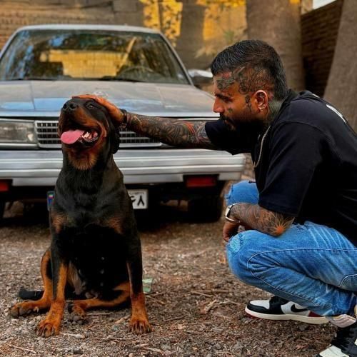 دانلود آهنگ مهدیار به نام یکی نیازمه