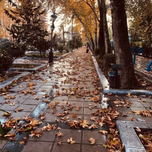 دانلود آهنگ جدید دارم بهش حس پیدا میکنم چیزی نمونده بغلش کنم دانلود آهنگ جدید دارم بهش حس پیدا میکنم چیزی نمونده بغلش کنم