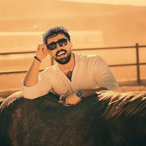 پوریا محمدی یک شب