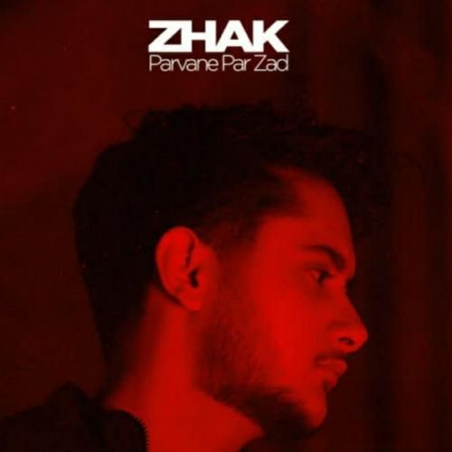 دانلود آهنگ ژک به نام پروانه پر زد