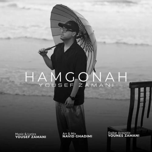 دانلود آهنگ یوسف زمانی به نام هم گناه