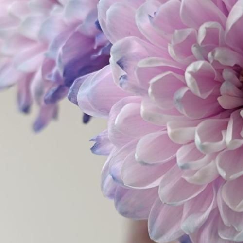 آدما ذاتشون کثیفه مثل هوا تهران میخوام رد شم