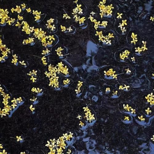 دانلود آهنگ جدید الان یه کشورم که فقط پاییزم زندگی جوریه که مرگ میشه