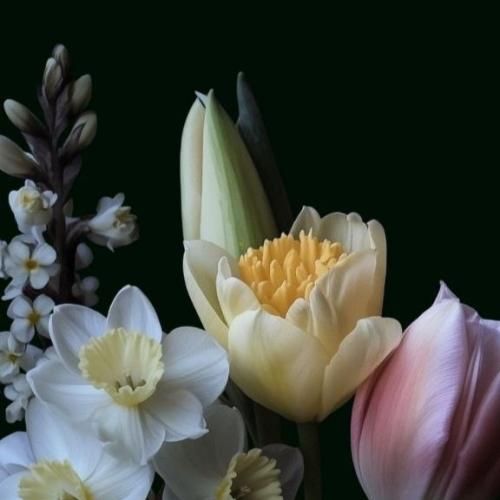  دیگه احساس نمونده توم هرچی دیدی