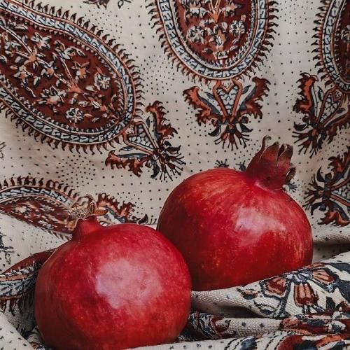 باد لای موت میکرد منو کریزی ادات فرق داره