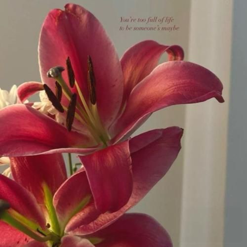 دانلود آهنگ جدید تو من را نشاندی کنار نگاهت به خنده تو گفتی