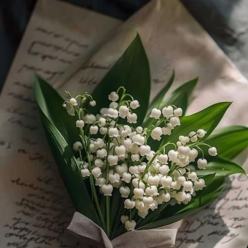  تو به من میگی بد ولی خودخواهی تو به من میگی