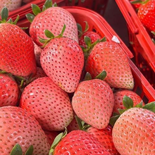 دانلود آهنگ جدید هیچی نبودی من تورو ساختم نگو دختری بودم