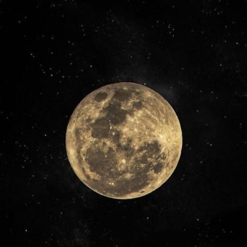 واسه امشب فکر و خیال کنسل دور هم جمع پیک و بیار