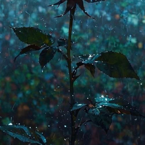 دانلود آهنگ جدید نفرست دیگه واسه من دسته گل الان من شدم یه روانی