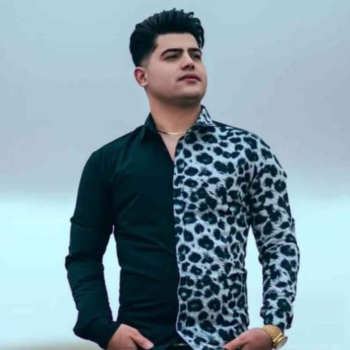 دانلود آهنگ امیر حافظ به نام میرم