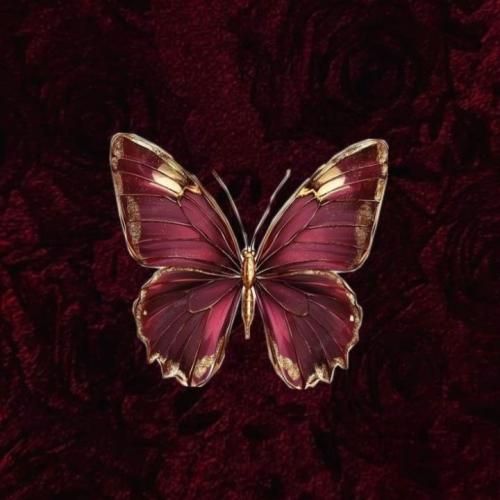 دانلود آهنگ جدید امشو نم نم بارون شراب بریز بشم داغون