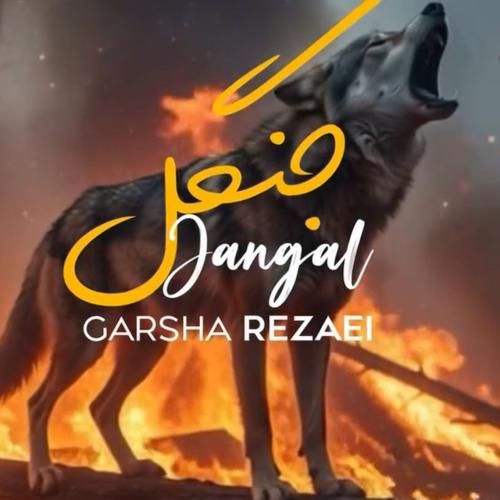 گرشا رضایی جنگل