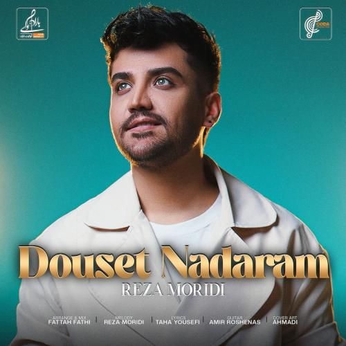 دانلود آهنگ رضا مریدی به نام دوست ندارم