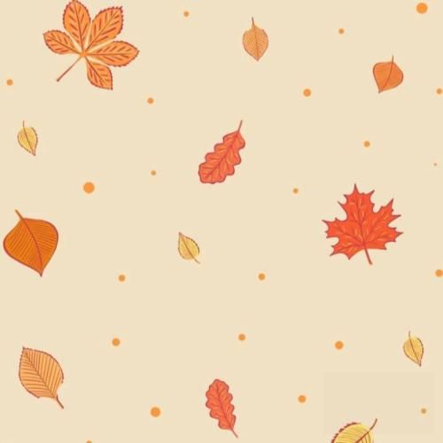  بارون زده خیس شده رولم مهم نی گلم پیشم نی