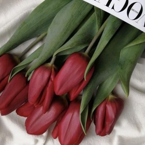 دانلود آهنگ جدید تقصیرو خودم گردن میگیرم میخورم زمینو هی