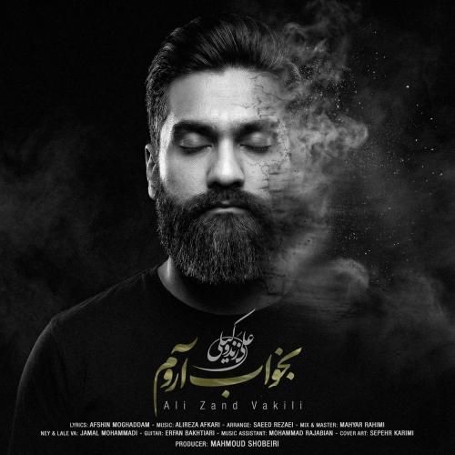 علی زندوکیلی بخواب آروم