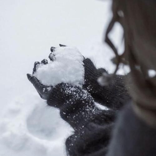 دانلود آهنگ جدید تو که ترسو تو دلت کشتیش دیدی بهت گفتم