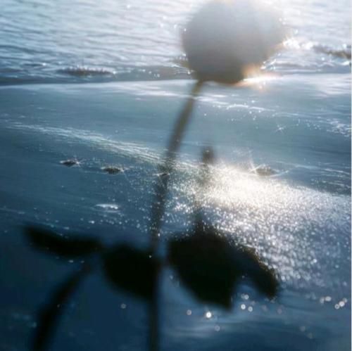 دانلود آهنگ جدید دل من هواتو کرده اما دیگه خطت خاموشه