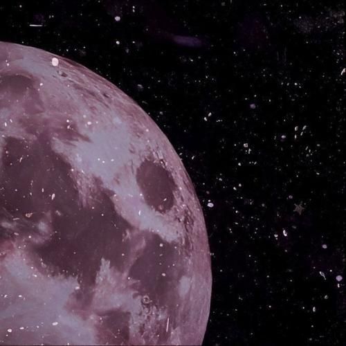 دانلود آهنگ جدید گوسفندا دخیل میبندن به قفس گرگ نفرت میچکه