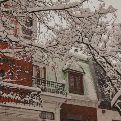 دانلود آهنگ جدید وطن زخمامون مشترکه درد همه است