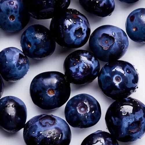 دانلود آهنگ مریم جعفری به نام فراغ جوان