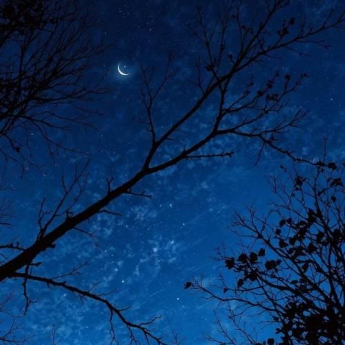 دانلود آهنگ جدید مارو سیاه نکن حیف سولاریوم میدم تو چمدون بیارنت