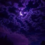 داداش کجایی دارم میام خرید زدی خوابم میاد داداش کجایی دارم میام خرید زدی خوابم میاد